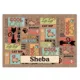 Product Drymate® Cool Cat Personalized Placemat
