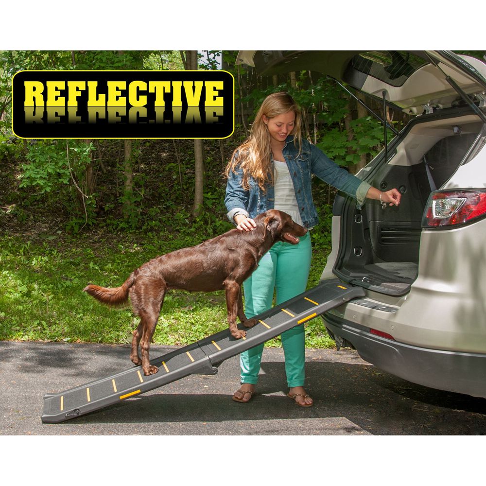 dog car ramps petsmart