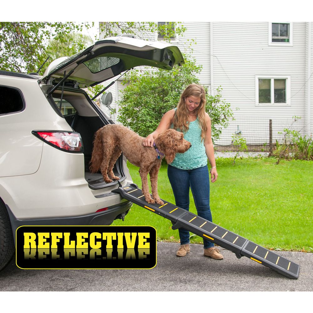 Dog ramps store for trucks petsmart