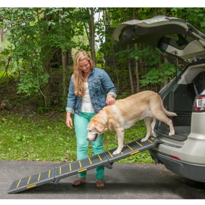 Product Pet Gear Extra Wide Reflective Pet Ramp