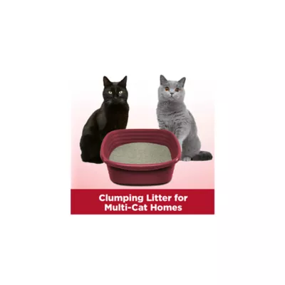 Product Arm & Hammer™ Clump & Seal Clumping Multi-Cat Clay Cat Litter - Low Dust