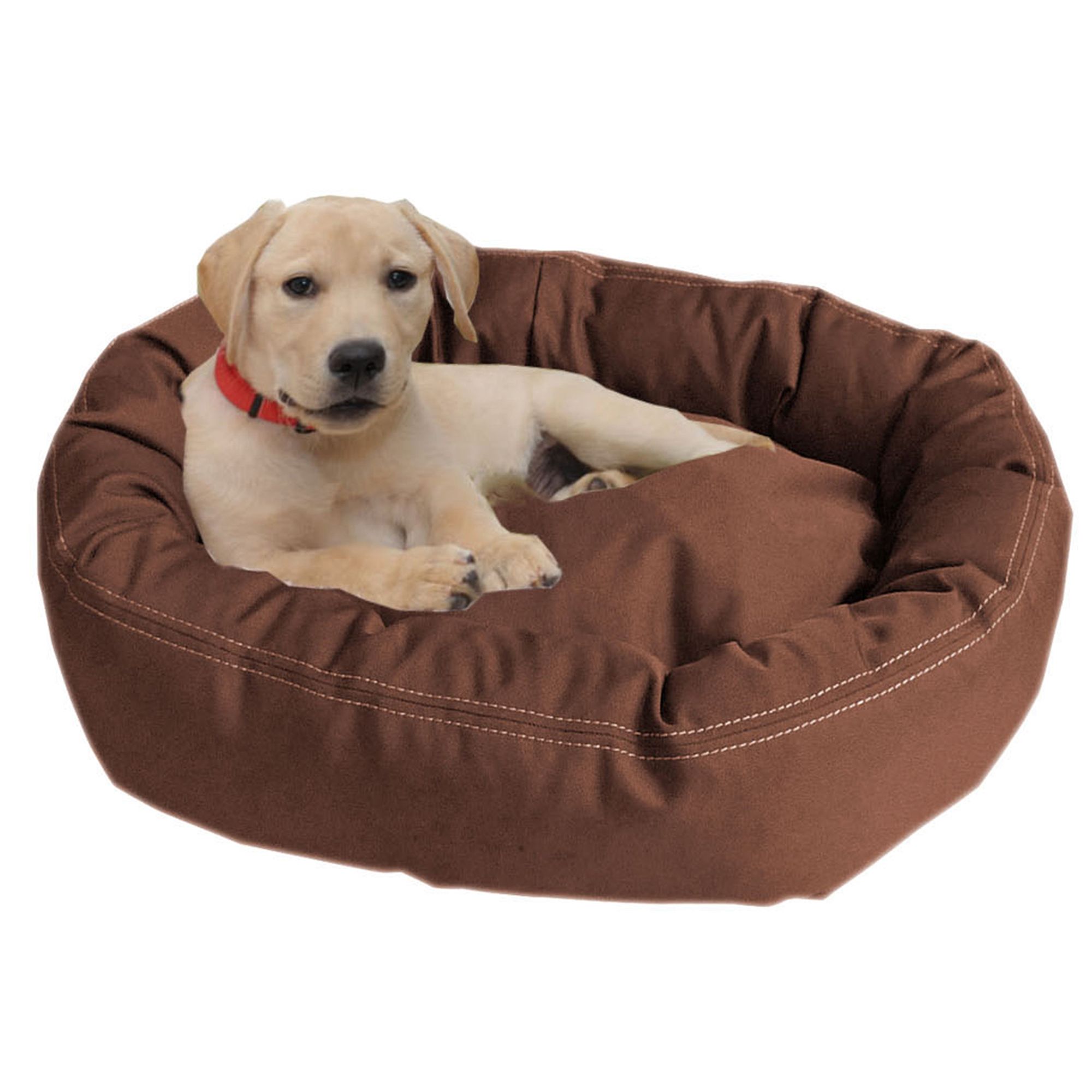 petsmart dog couch