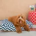 Majestic Pet Chevron Rectangle Indoor & Outdoor Dog Bed image thumbnail 2