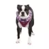 Puppia® Vivien Ruffle Vest Dog Harness image thumbnail 3