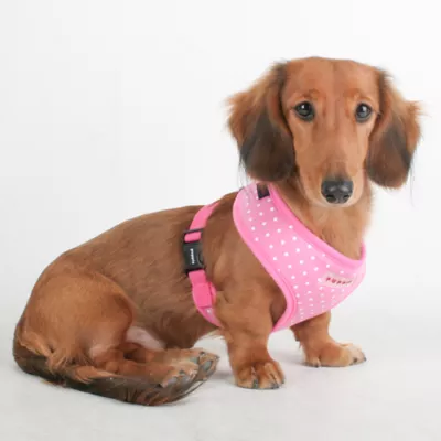 Product Puppia® Dotty Dog Harness