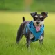 Product Puppia® RiteFit Over-the-Head Dog Harness
