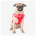Puppia® Vivien Gingham Ruffle Air-Mesh Step-In Dog Harness image thumbnail 3