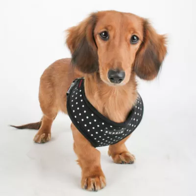 Puppia® Dotty Dog Harness - Image 3