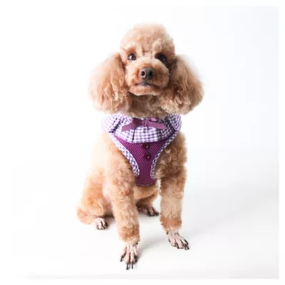 Product Puppia® Vivien Ruffle Dog Harness