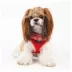Puppia® Vivien Ruffle Dog Harness image thumbnail 3
