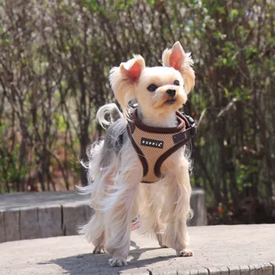 Puppia® RiteFit Over-the-Head Dog Harness - Image 3