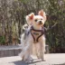 Puppia® RiteFit Over-the-Head Dog Harness image thumbnail 3