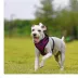 Puppia® RiteFit Over-the-Head Dog Harness image thumbnail 3
