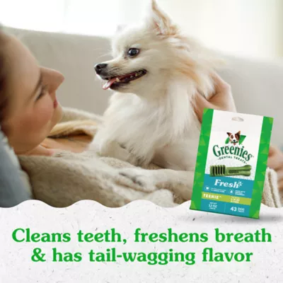 Product Greenies™ Adult Teenie Dog Dental Treats - Natural, Oral Health, Fresh