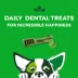 Greenies™ Adult Petite Dog Dental Treats - Natural, Oral Health, Fresh image thumbnail 6