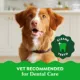 Product Greenies™ Adult Regular Dog Dental Treats - Natural, Oral Health, Fresh