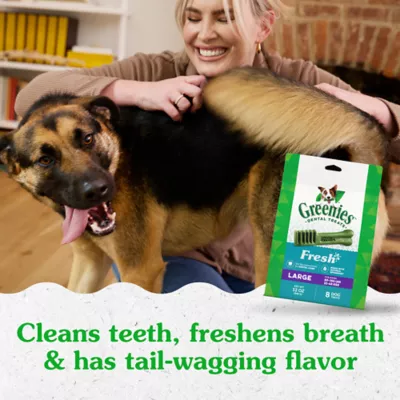 Greenies Adult Large Dog Dental Treats Natural Oral Health Fresh