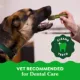 Product Greenies™ Adult Large Dog Dental Treats - Natural, Oral Health, Fresh