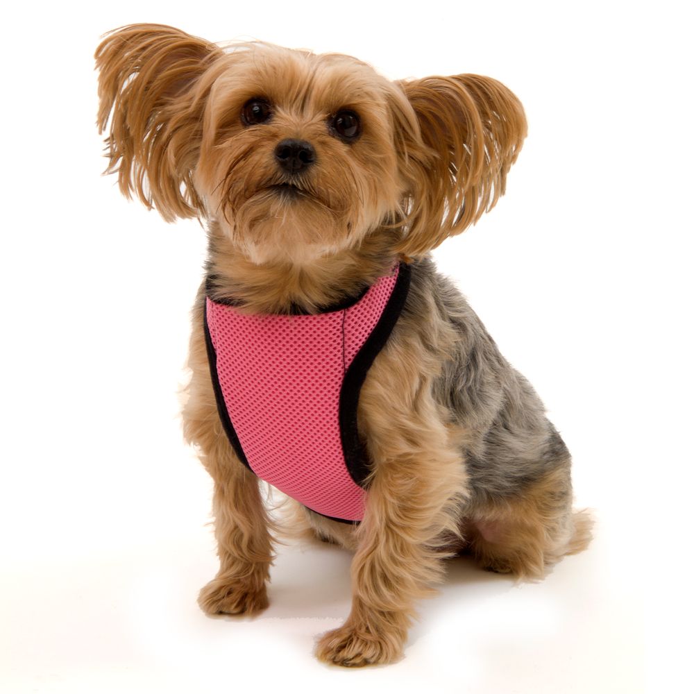 Kumfy Tailz™ Warming/Cooling Dog Harness dog Harnesses PetSmart