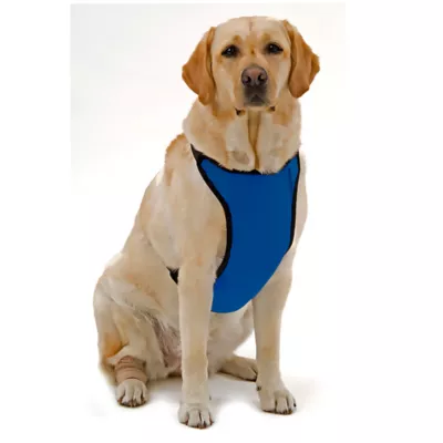 Kumfy Tailz™ Warming/Cooling Dog Harness - Image 1