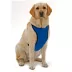 Kumfy Tailz™ Warming/Cooling Dog Harness image thumbnail 1