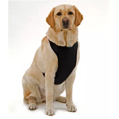 Product Kumfy Tailz™ Warming/Cooling Dog Harness