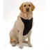 Kumfy Tailz™ Warming/Cooling Dog Harness image thumbnail 1