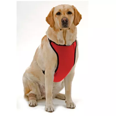 Product Kumfy Tailz™ Warming/Cooling Dog Harness