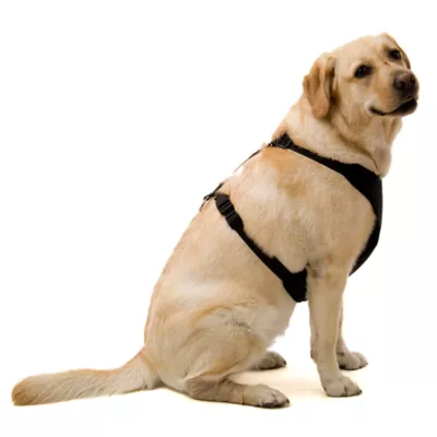 Kumfy Tailz™ Warming/Cooling Dog Harness - Image 3