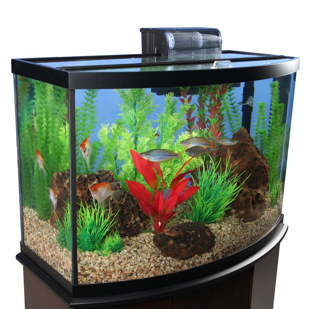 marineland 38 gallon bow front aquarium hood