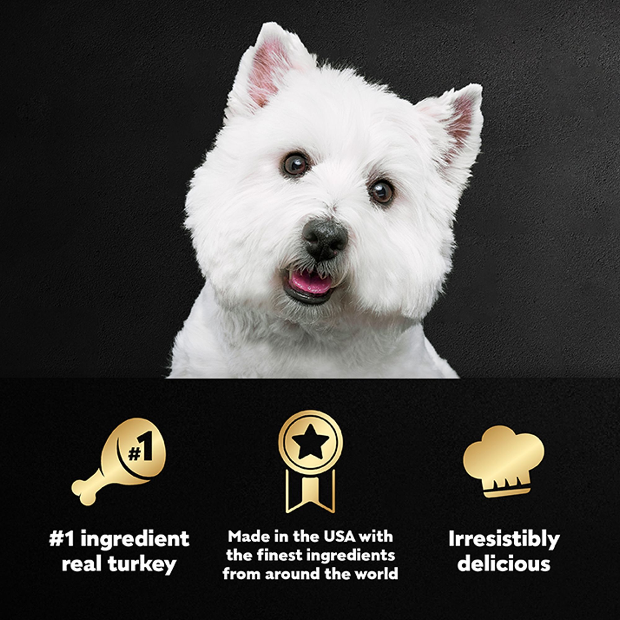 cesar turkey dog food