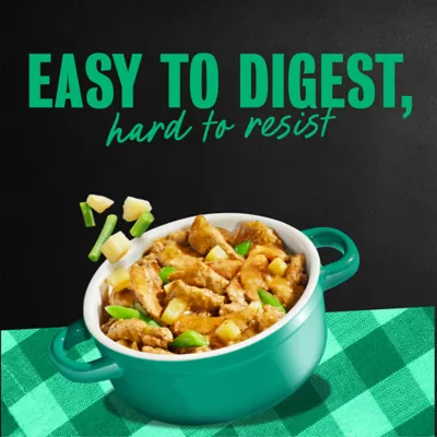 Cesar® Classics Home Delights Adult Wet Dog Food - Chunks in Gravy , 3.5 Oz. - Image 9