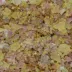 API® All Varieties Goldfish Flakes image thumbnail 3