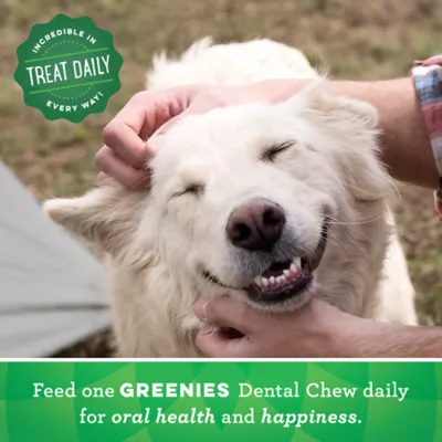 Product Greenies™ Adult Large Dog Dental Treats - Natural, Oral Health, Blueberry