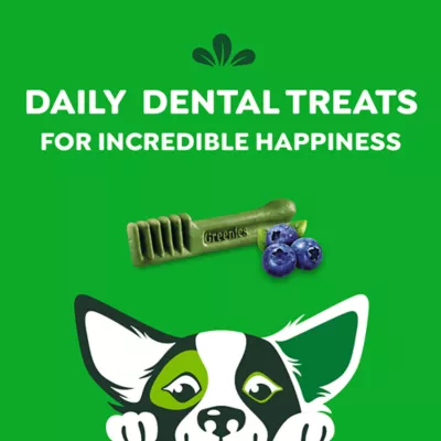 Product Greenies™ Adult Petite Dog Dental Treats - Natural, Oral Health, Blueberry