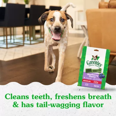 Product Greenies™ Adult Regular Dog Dental Treats - Natural, Oral Health, Blueberry