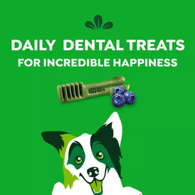 Product Greenies™ Adult Regular Dog Dental Treats - Natural, Oral Health, Blueberry