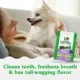 Product Greenies™ Adult Teenie Dog Dental Treats - Natural, Oral Health, Blueberry