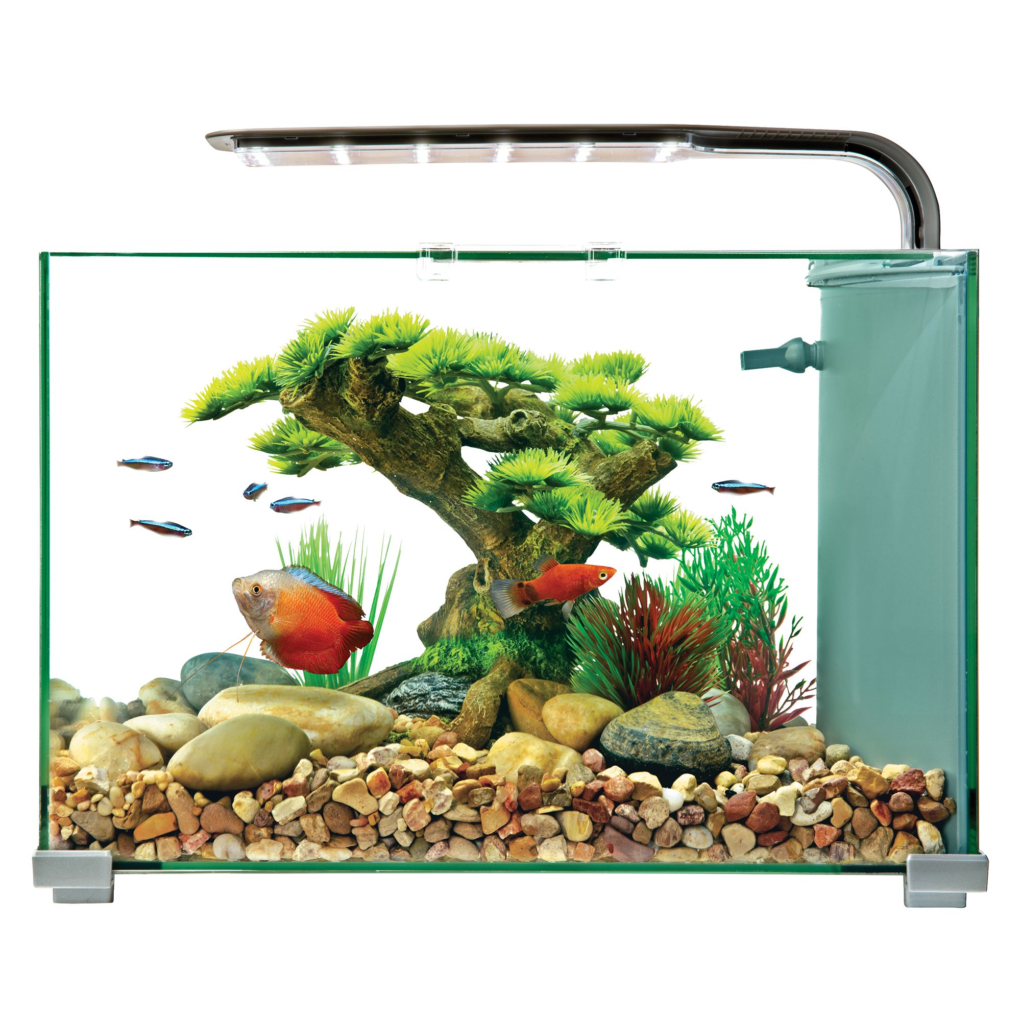 Top Fin® Premium Glass Aquarium 5 Gallon fish Starter Kits PetSmart