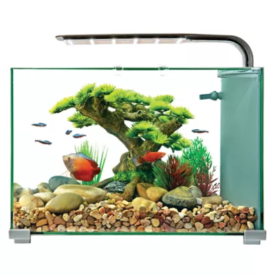 Petsmart fish tank supplies best sale