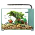 Top Fin® Premium Glass Aquarium - 5 Gallon image thumbnail 1