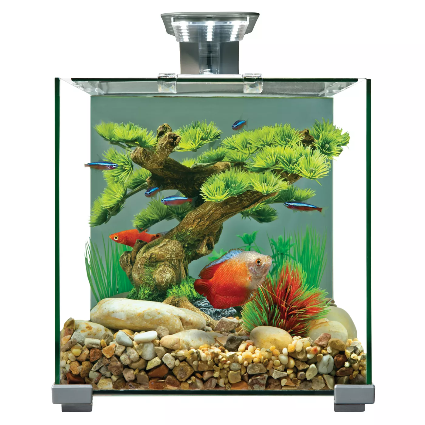 Top Fin Premium Glass Aquarium 5 Gallon