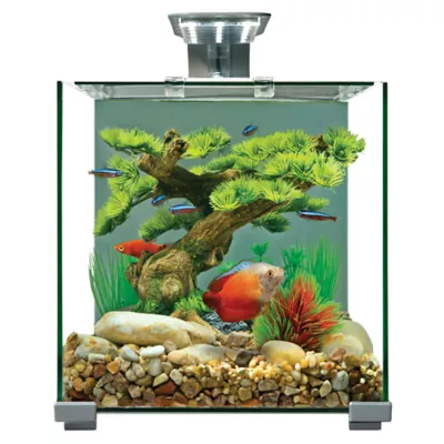 Product Top Fin® Premium Glass Aquarium - 5 Gallon