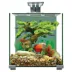 Top Fin® Premium Glass Aquarium - 5 Gallon image thumbnail 2