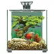 Product Top Fin® Premium Glass Aquarium - 5 Gallon