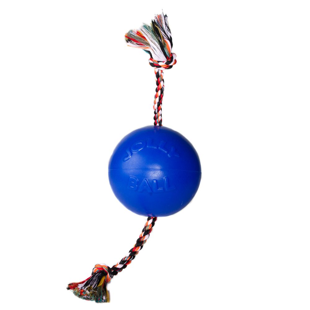 jolly ball dog toy