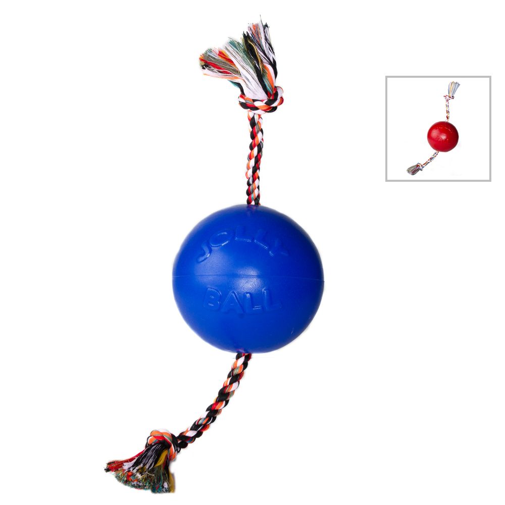 jolly ball dog toy petco