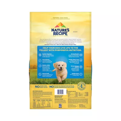 Nature s Recipe Dry Dog Food Puppy Chicken Sweet Potato Pumpkin