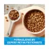 Nature's Recipe Dry Dog Food Puppy - Chicken, Sweet Potato, Pumpkin image thumbnail 4