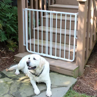 Product Cardinal Gates Stairway Special Outdoor Pet Gate